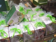 -乐天免税店(明洞店)