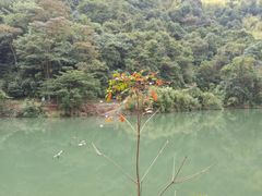 -千泷沟大瀑布旅游区