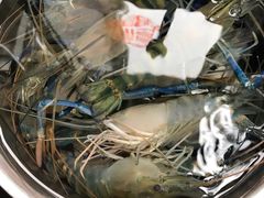 -华威西营里农产品批发市场