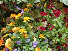 -上海市松江区泗泾医院