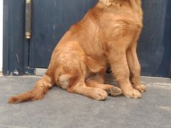 -黑金·寻焰自助百汇(中街店)