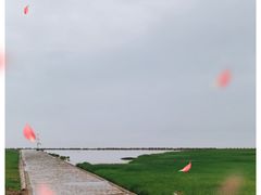 -南汇嘴观海公园