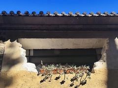 -寂照庵