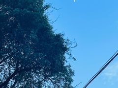 -青芝山风景名胜区