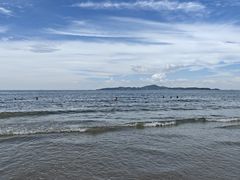 -卷心菜和避孕套餐厅(Pattaya)