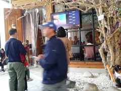 -新白鹿餐厅(城西银泰城店)