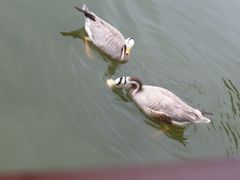 -泉州海丝野生动物世界