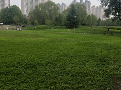 景点-望湖公园