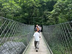 -西岭雪山大飞水景区