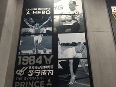 -李宁(大宁国际旗舰店)