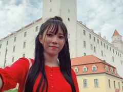 -布拉迪斯拉发城堡