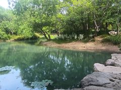 -贡湖湾湿地公园