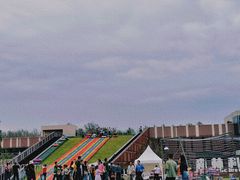 -黄海国家森林公园