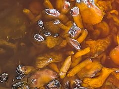 -兴福老面馆(寺路街店)