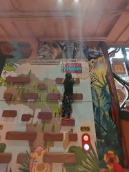 -卡通尼·Safari非洲探索乐园·生日会(金桥国际商业广场店)