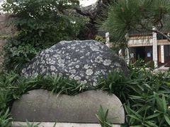 -红梅公园