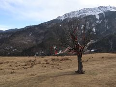 -硗碛藏寨·神木垒景区