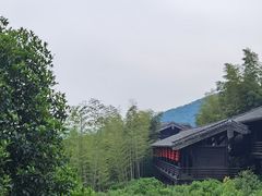 -大唐贡茶院