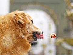 -中融恒瑞国际大厦