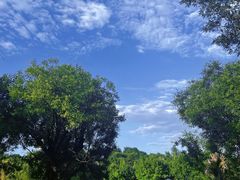 -Supine Bistro溯泮餐厅