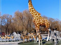 -北京野生动物园