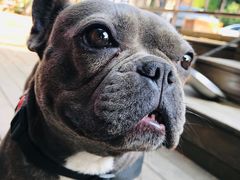 -南山酒肆(南山董事绘店)