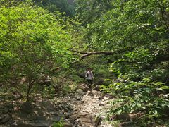 -龙洞风景区-藏龙涧