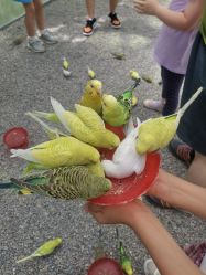 -萌宠亲子动物乐园(槐房万达店)