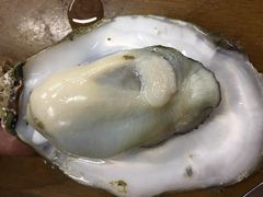 -蚝得喜海鲜(东城店)