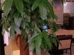 -德克士(宽甸店)