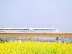 -光明小镇欢乐田园