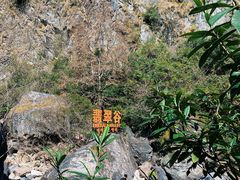 -黄山翡翠谷景区