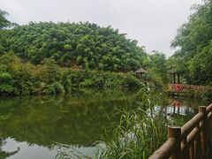 -沐川竹海旅游景区