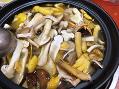 -菌之家·专业纯野生菌火锅·特色炒菌
