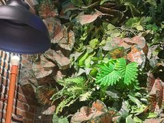 -炭舍干锅·烤鱼(扬名广场店)