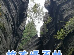 -梭布垭石林景区