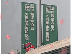 -成都大熊猫繁育研究基地