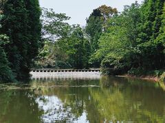 -桤木河湿地公园