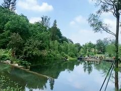 -云溪植物园