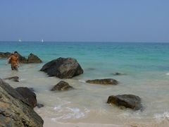 -杨梅坑