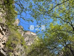 -云台山风景名胜区