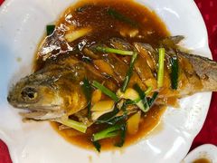 -蛇口康乐快餐鱼仔档(翠苑小区店)