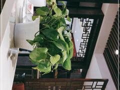 -新侨小馆(东直门北小街店)