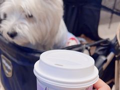 -Seesaw Coffee(西岸凤巢店)
