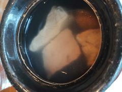 椰子炖鸡-广州富力君悦大酒店·凯菲厅