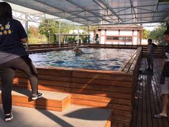 -太阳岛度假酒店