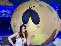 -重庆欢乐海底世界