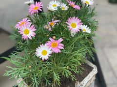 -泉乐坊步行街(烟酒特产平价超市店)