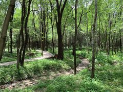 -玉渡山自然风景区