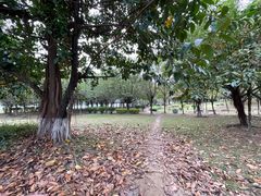 -飞来湖湿地公园